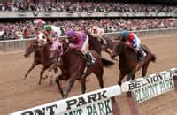 Golden Gate Entries & Results for Sunday, 3.